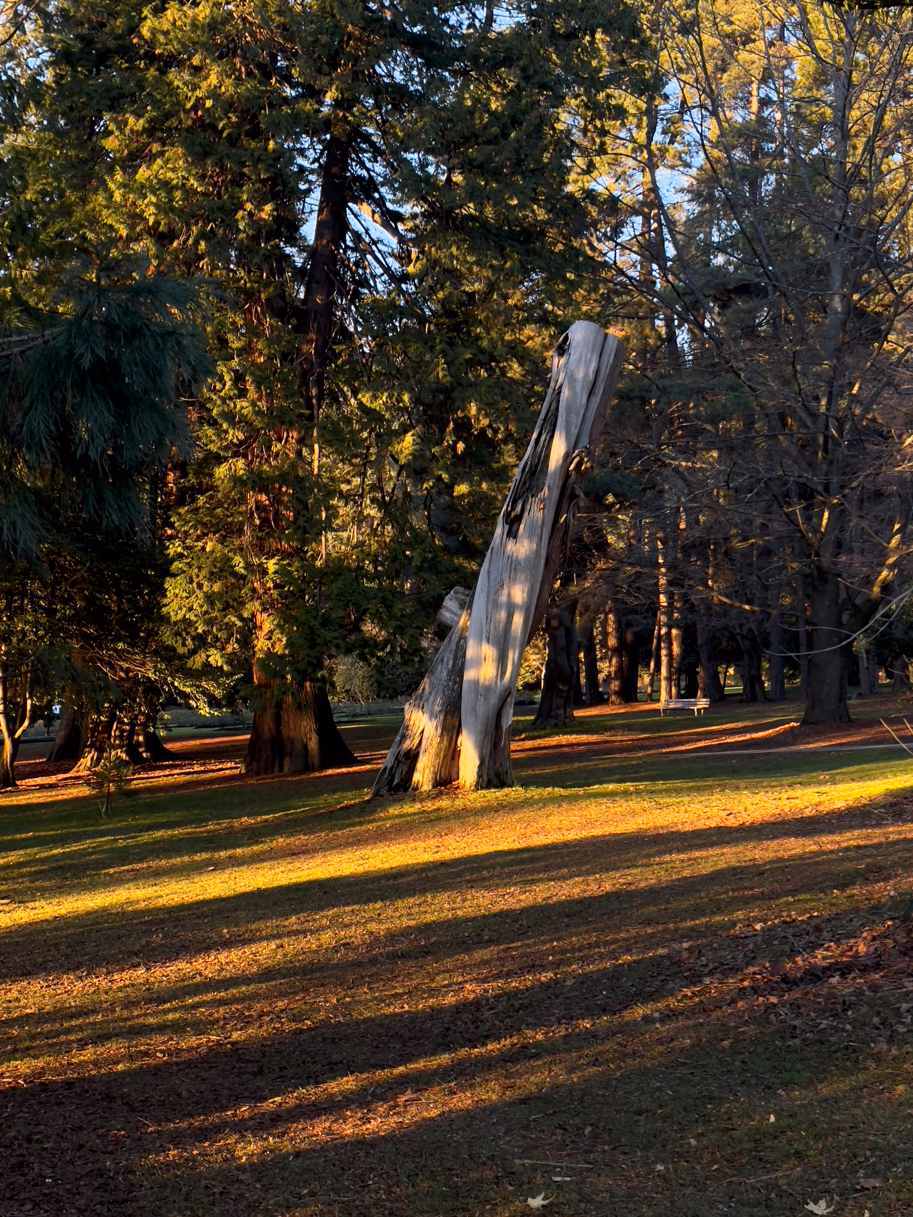 Stanley Park, Vancouver, Canada